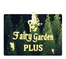 Fairy Garden