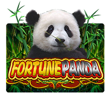 Fortune Panda